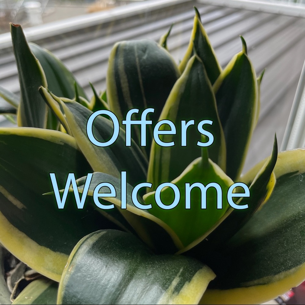 I will always accept or counteroffer!